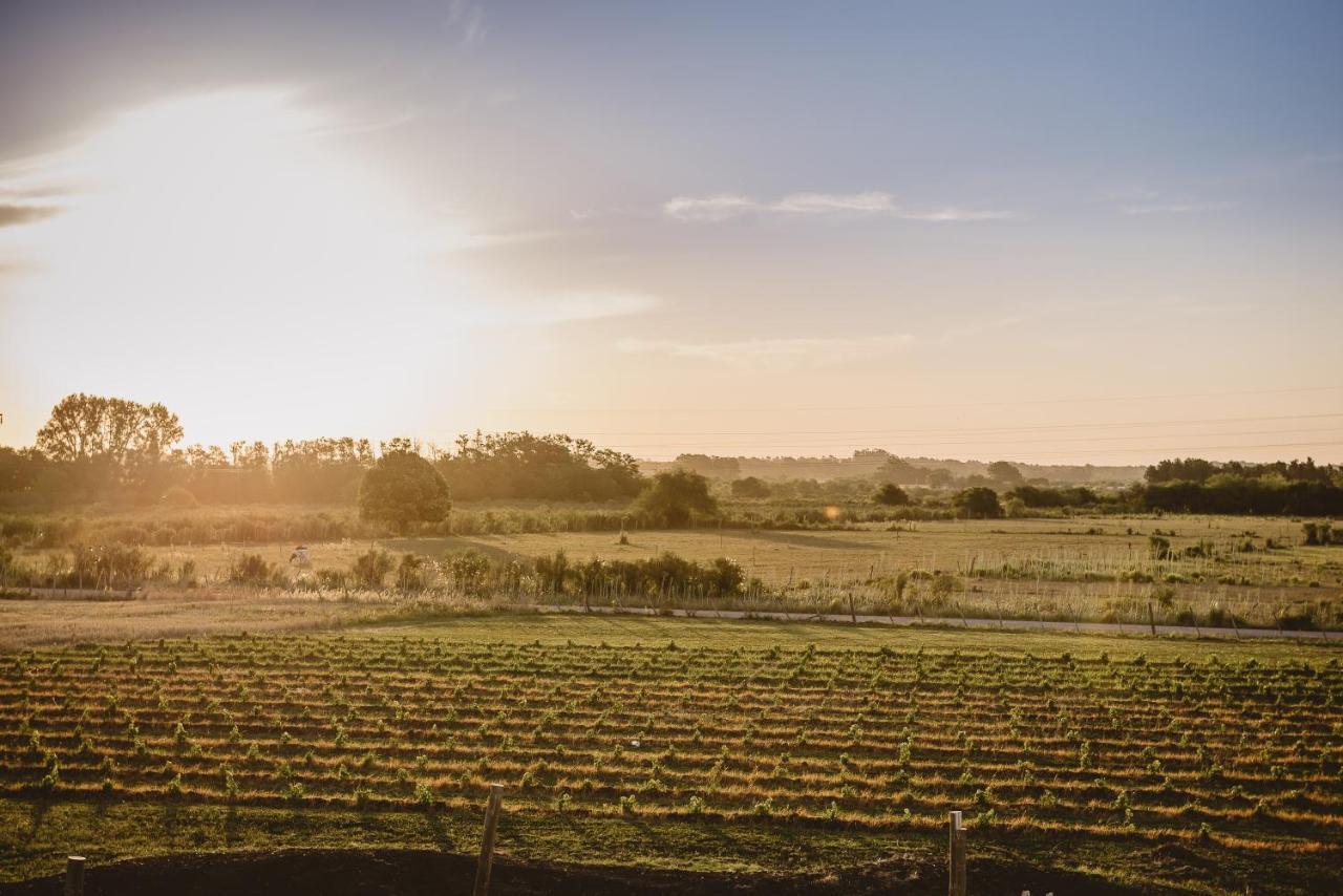 El Legado Wine Lodge Кармело Экстерьер фото
